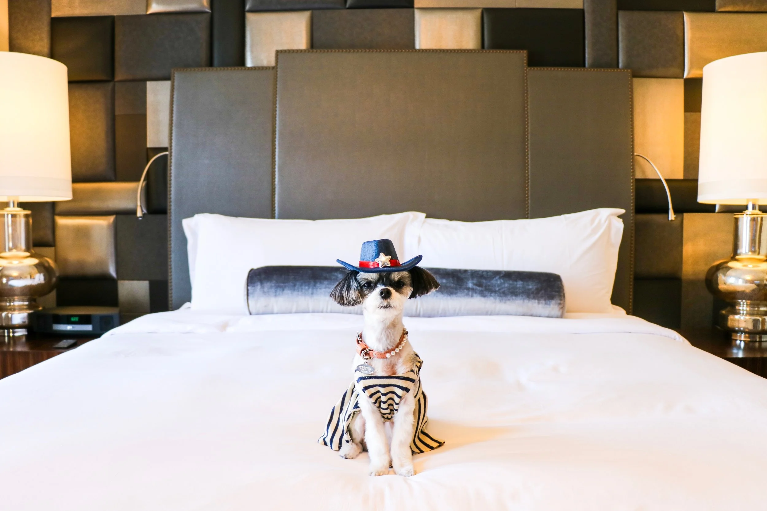 TRAVELINGTINK x ST. ANTHONY LUXURY COLLECTION HOTEL - SAN ANTONIO